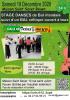 Stage de danses irlandaises