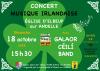  Concert irlandais 